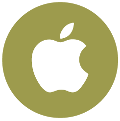 Apple Pay